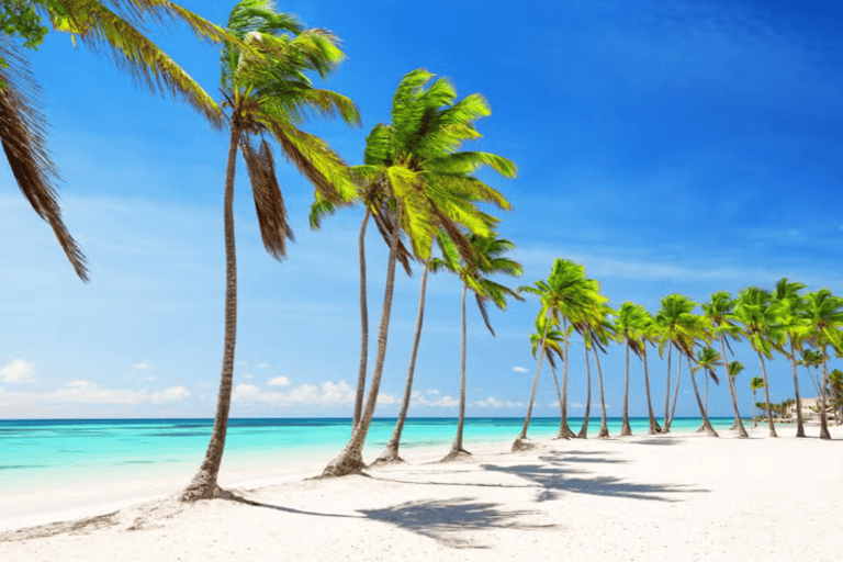 Private: Saona Island Hidden Beaches & Mano Juan Eco tour