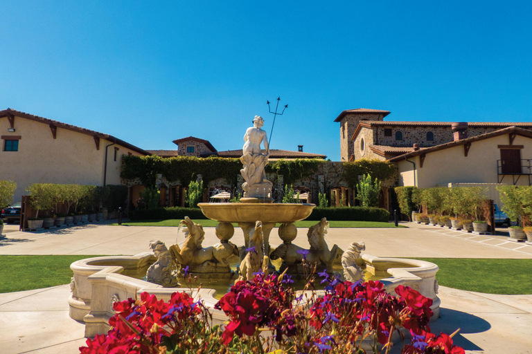 San Francisco: Half Day Wine Tour & Hop-On Hop-Off City Tour