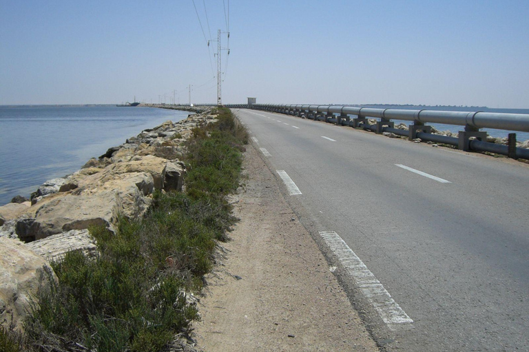 Vanuit Djerba: 3-daagse Sahara-woestijntocht en berberdorpentocht