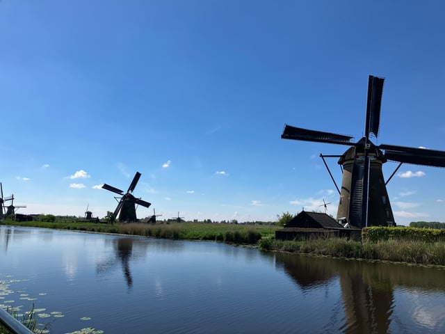 Amsterdam: Kinderdijk y Rotterdam Tour guiado en japonés