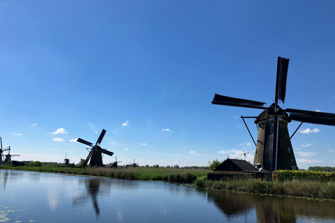 Amsterdam: Kinderdijk and Rotterdam Guided Tour in Japanese