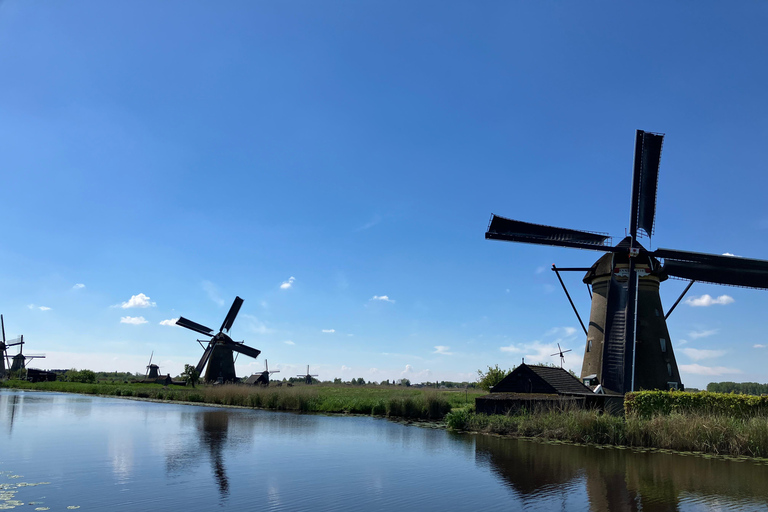 Amsterdam: Kinderdijk and Rotterdam Guided Tour in Japanese