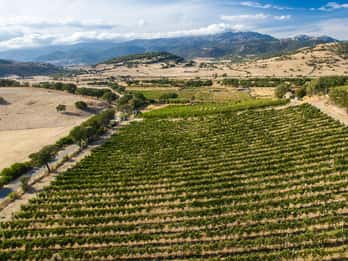 Assapora la Gallura: Prova i nostri prodotti e scopri la nostra cantina