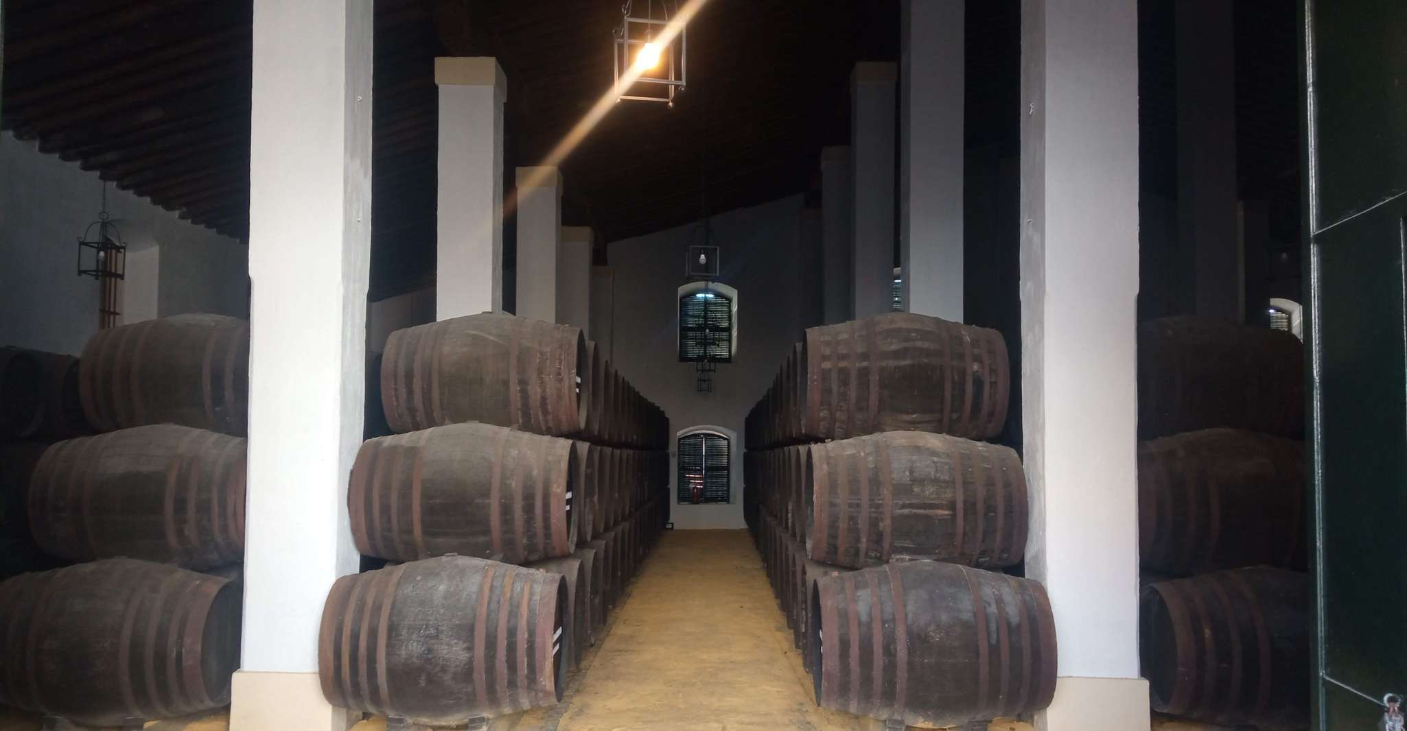 Jerez de la Frontera: Sherry Winery Tour with Tasting photo 8