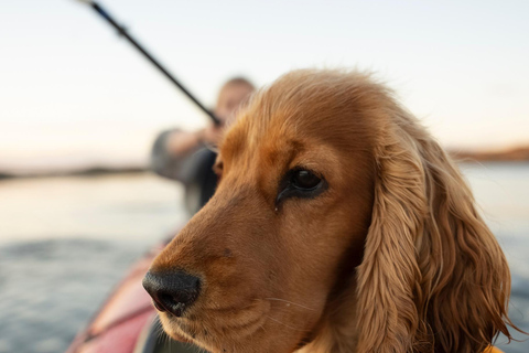 Orust: Kayak Rental 3 Hour Double Kayak