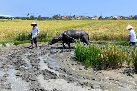 En otrolig Hoi An - Ridning på vattenbuffel och matlagningskurs