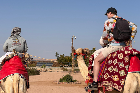 Hurghada: Camel Ride & horse ride and Off-Road Jeep Tour pickup from hotels inside hurghada