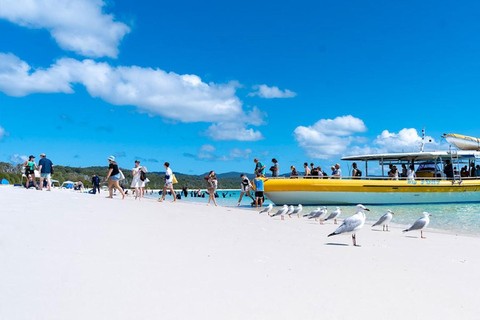 Whitsunday: Excursão às Ilhas Whitsunday com mergulho com snorkel e almoço