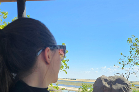 Victoria Falls: Zambezi Game Drive Safari & Rainforest Tour