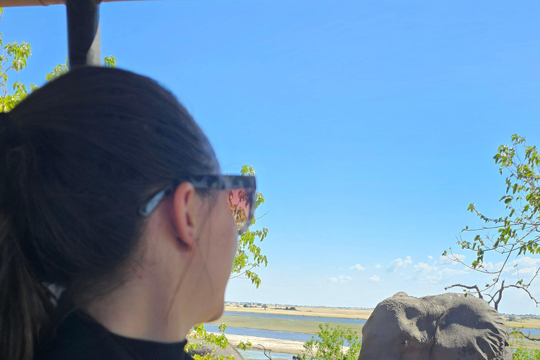 Victoria Falls: Zambezi Game Drive Safari & Rainforest Tour