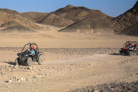 Hurghada Buggy Safari Tour With Dinner, Show & Stargazing