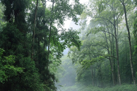 Zhangjiajie 2-Day Beat the Heat Tour - 4 Attractions