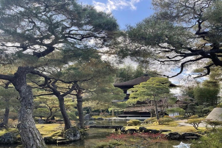 Kyoto Full-Day Customizable Group Tour with English Guide