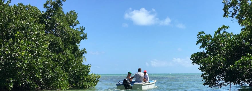 Key West : Excursion en bateau à moteur dans les mangroves et les bars