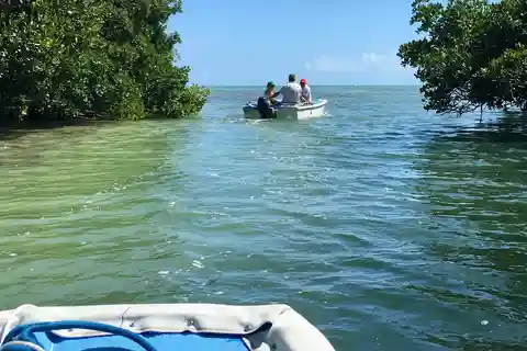 Key West: Mangroves & Bars Motorboat Tour