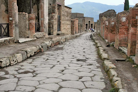 Vesuv &amp; Pompeji Tour: Eintauchen in die antike Geschichte und Natur