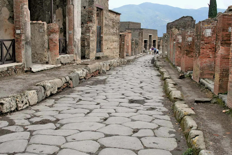 Vesuvius &amp; Pompeii Tour: Step into Ancient History &amp; Nature