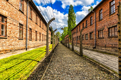 De Cracóvia: Visita guiada a Auschwitz-Birkenau com transporte