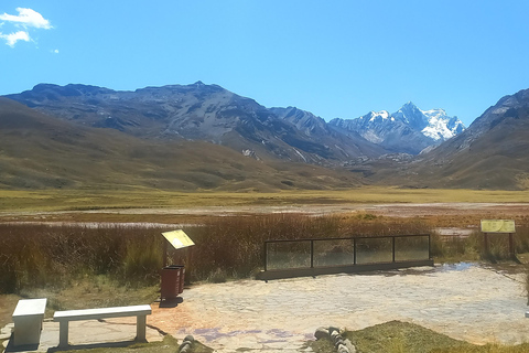 Da Huaraz: Escursione di un giorno al ghiacciaio Pastoruri e alla Puya Raymondi