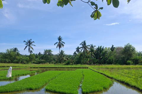 Bukit Lawang: Jungle Trek, River Tubing, and Village Tour