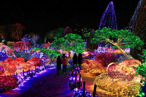 Séoul : Visite de l&#039;île de Nami/jardin du matin calme (+vélo sur rail)Visite de groupe, rendez-vous à Myeongdong