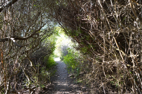 Albufeira Coastline Hiking - Small Group Albufeira Coastline Hiking Small Group