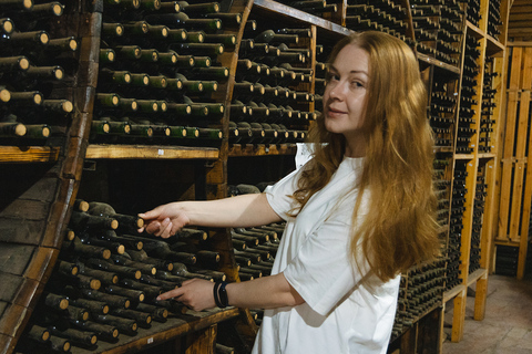 从埃里温出发：霍尔维拉普、诺拉万克、杰尔穆克和鸟洞霍尔维拉普、诺拉旺克、杰尔穆克私人观光（不含导游）