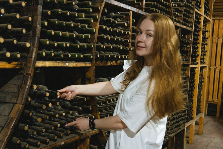 从埃里温出发：霍尔维拉普、诺拉万克、杰尔穆克和鸟洞霍尔维拉普、诺拉旺克、杰尔穆克私人观光（不含导游）