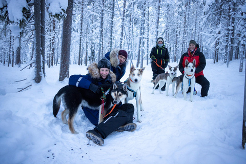 Äkäslompolo: Husky Trail Walk, Walk 1:1 with Your Own Husky Meet at the meeting point in Äkäslompolo