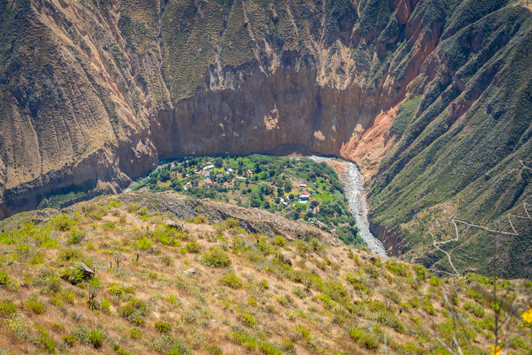 FROM CABANACONDE: 2 DAY COLCA TREK START AT 8:30 IN THE MORNING