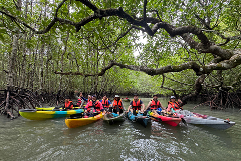 Langkawi: Caiaque nos mangais por Farly