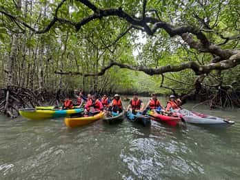 Langkawi: Kajakkpadling i mangrove med Farly