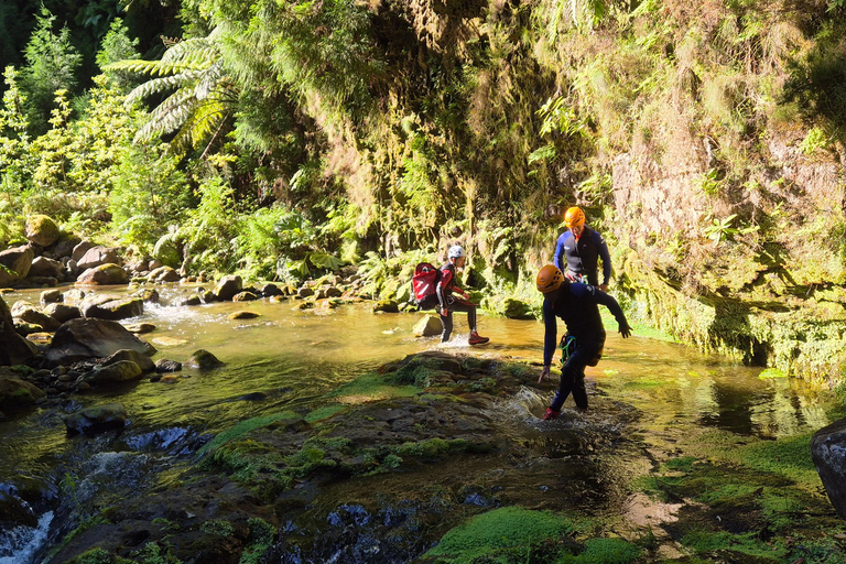 Canyoning en hauteur : circuit de canyoning de niveau moyen à élevéCanyoning de haut niveau : circuit de canyoning de niveau moyen à élevé