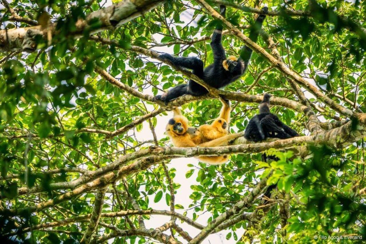 Mondulkiri: 2-tägiges Erlebnis mit Wildtieren, Wasserfällen und Kultur