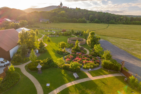 Malé Karpaty: Schloss Červený Kameň + Weinverkostung + AbendessenMalé Karpaty: Schloss Červený Kameň + Weinverkostung - Sommer