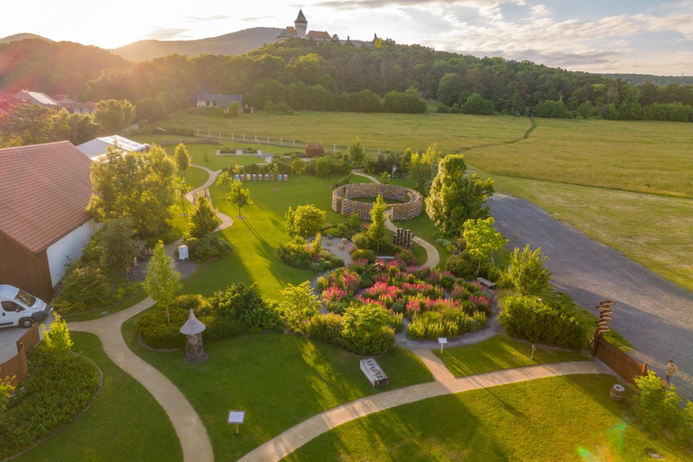 Malé Karpaty : Château de Červený Kameň + Dégustation de vin + Dîner