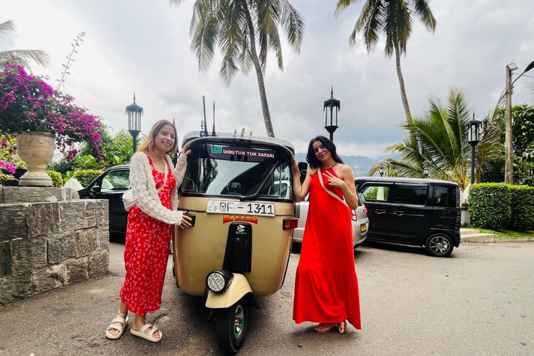 Kandy: Private Vehicle & Driver - Your Custom Route