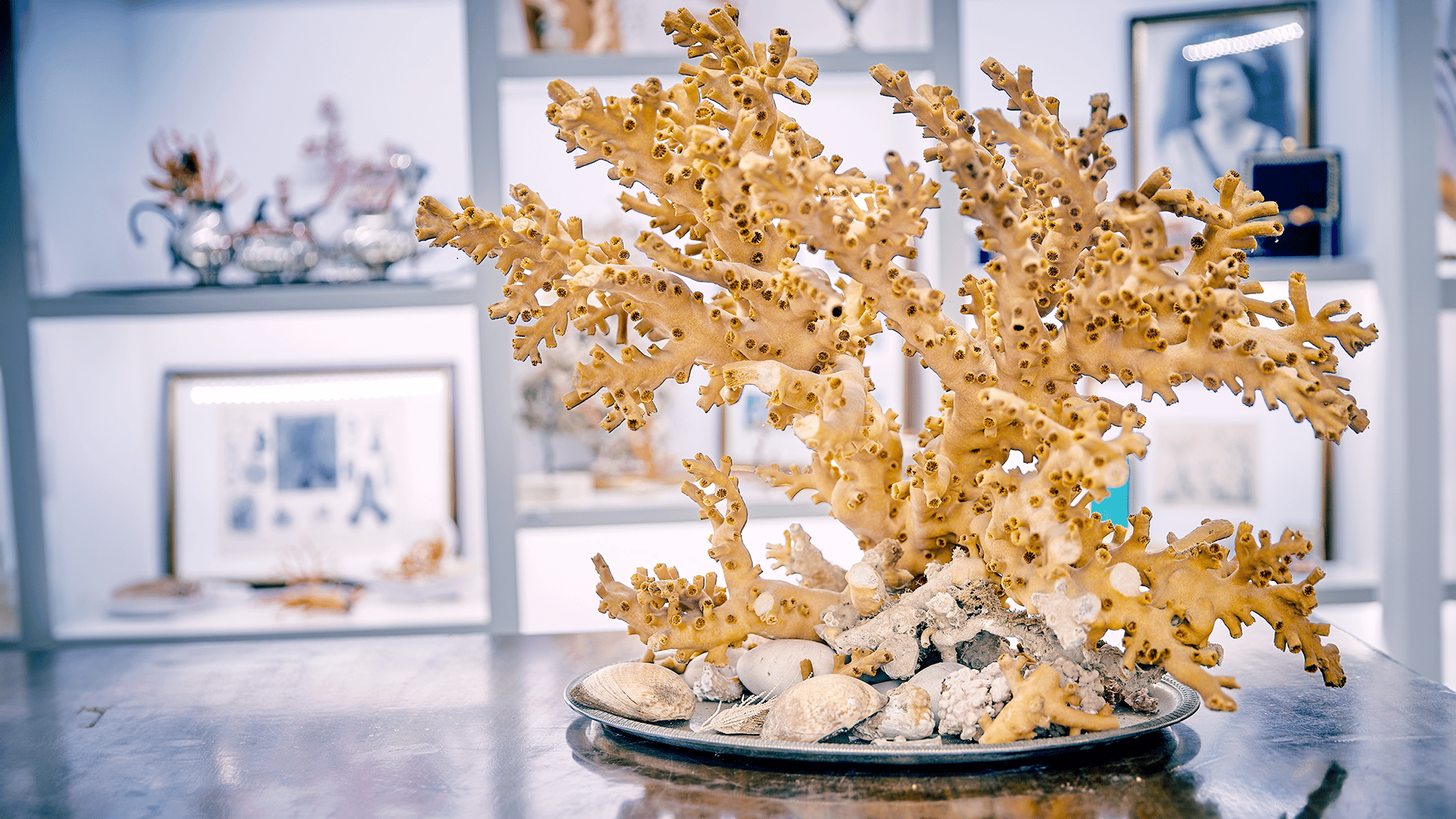 Korallenworkshop und Besuch des Museums in Sciacca
