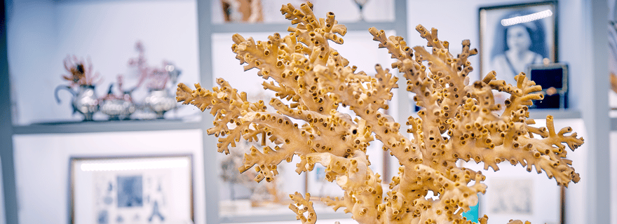 Visite guidée du musée du corail de Sciacca