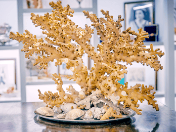 Coral workshop and visit of the museum in Sciacca
