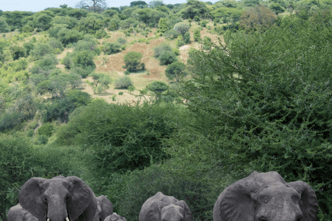 6 Tage bestes Mittelklasse-Safari-Erlebnis in Tansania