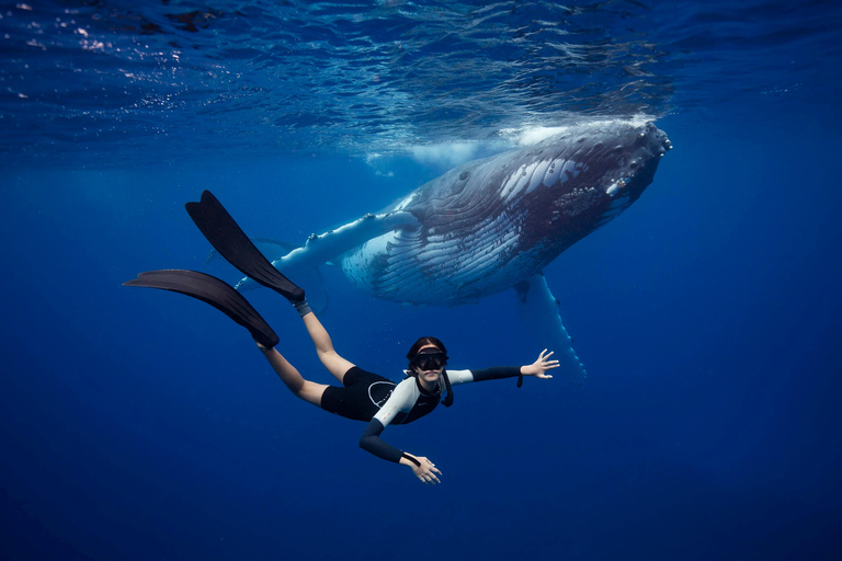 Costa Dorada: Nada con ballenas