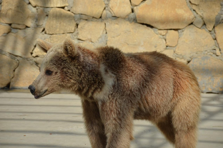 Alanya: Excursão Mix em autocarro Cabrio, Lion Safari, passeio de barco com almoçoAlanya: Excursão mista em autocarro Cabrio, Lion Safari, passeio de barco com almoço