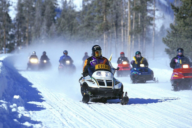 Riga: Snowmobile Ride & Black Balsam Tasting Riga: 2 Hour Snowmobile Ride & Black Balsam Tasting