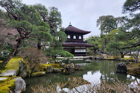 Kyoto: Ginkaku-ji & Philosopher's Path Walk & Tea Social