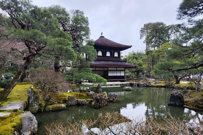 Kyoto: Ginkaku-ji & Philosopher's Path Walk & Tea Social
