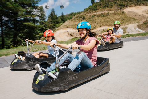 From Auckland: Rotorua Day Trip with Te Puia & Luge Rides