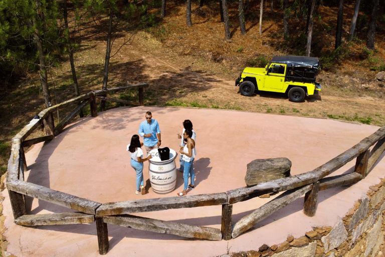 Il punto di vista di Valmiñor