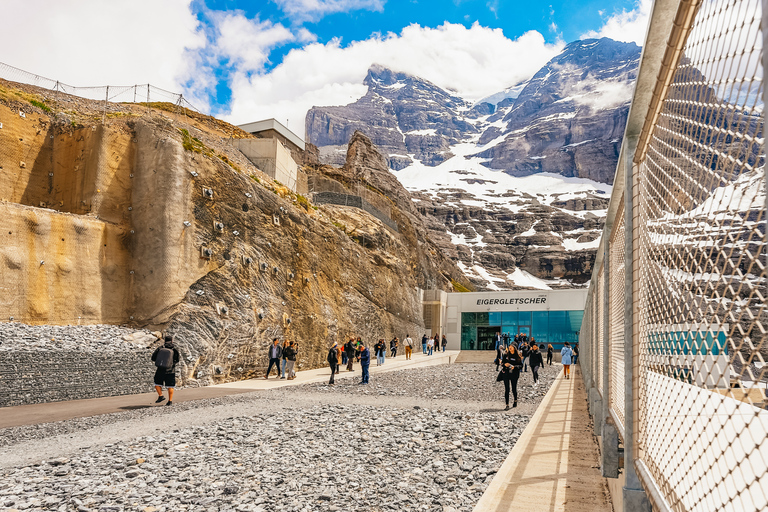 From Zurich: Guided Day Trip to Jungfraujoch with Train Ride