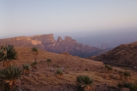 Nordäthiopien erkunden: 17-tägige Tour
